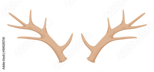 Natural brown antlers isolated on white background, perfect for crafts, decor, and graphic design vector illustration
