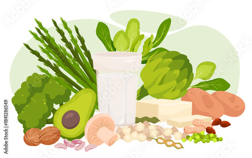 Assorted plant protein sources including tofu, nuts, beans, avocado, broccoli, spinach, and non-dairy milk arranged together for healthy vegan nutrition vector illustration