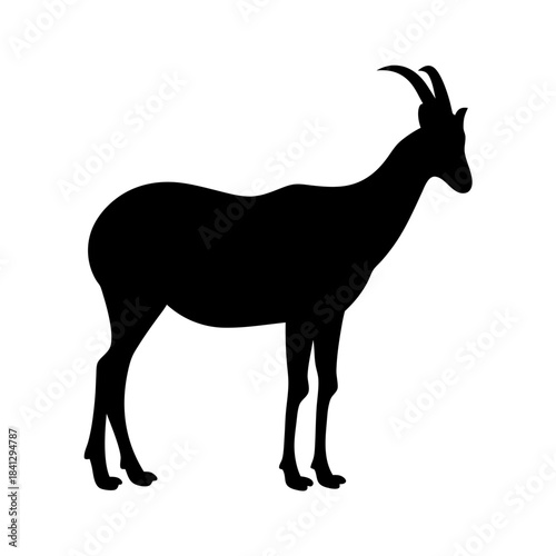 Silhouette of an Ibex Standing Tall Against a White Background, Graceful
