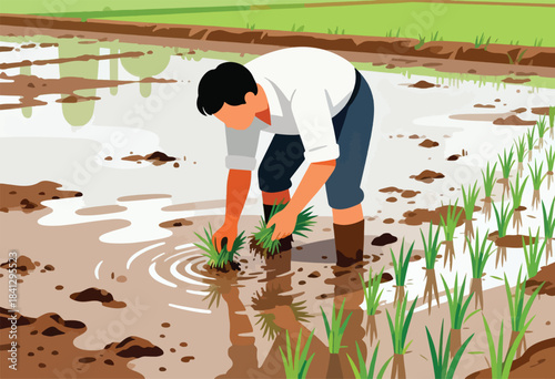 Farmer tending to young rice plants in a muddy flooded field