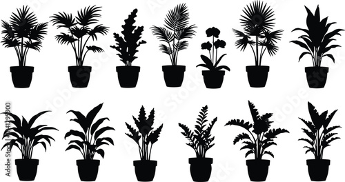 Black potted plant silhouette, indoor houseplant vector, cactus and succulent outline, tropical leaves, botanical illustration, decorative foliage, isolated , 