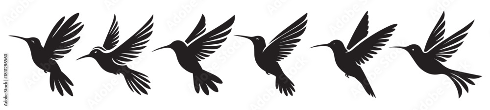 Obraz premium hummingbird black solid silhouette bundle isolated on white