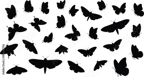 Collection of silhouettes of various moths flying in different directions