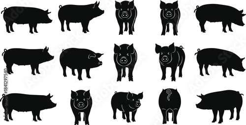 Set of black pig silhouettes and icons in different poses, farm animals vector collection