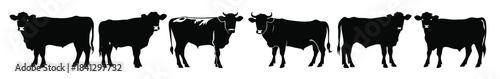 hereford cattle silhouettes set hereford cow silhouette 