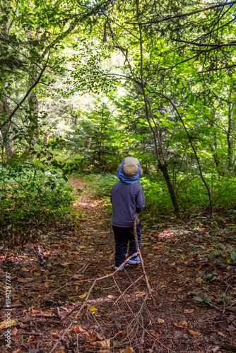 Un enfant de dos se promène sur un chemin en forêt en tirant une branche derrière lui.