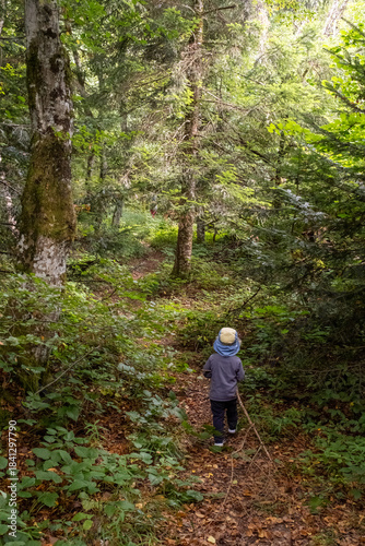 Un enfant de dos se promène en forêt en tirant une branche derrière lui.