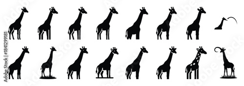 Set of vector curious giraffe  icon in silhouettes