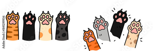 Vibrant cat paws in fun patterns and colors