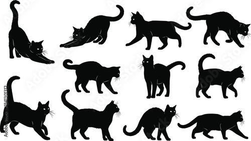 Collection of black cat silhouette poses showing stretching, walking, standing, and playful actions for animal illustration, pet design, and decoration