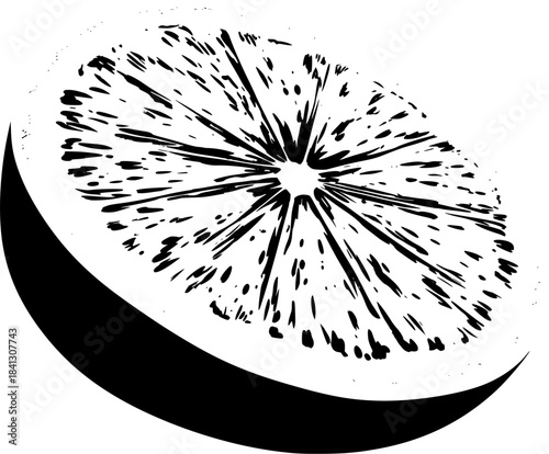 Elegant Black White Oranges: Slice Citrus | Clean, isolated vector art for creative projects.