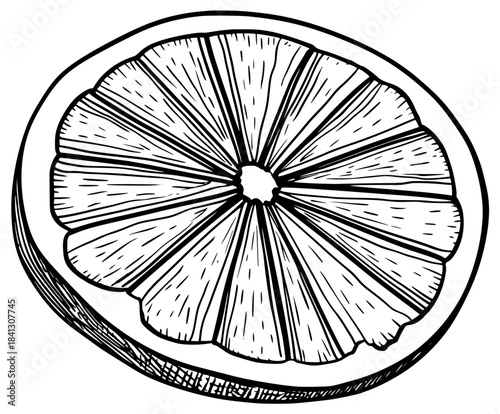 Monochrome Citrus Delight: Black White Illustration Orange Slice Half | Clean, isolated vector art for creative projects.