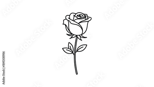 A simple line drawing of a single rose on a with leaves and stem, Generative AI