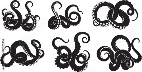 Set six stylized black silhouettes octopus tentacles marine animal limbs with suckers isolated on transparent background vector illustrations