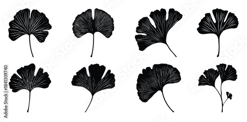 ginkgo leaf silhouette clip art bundle