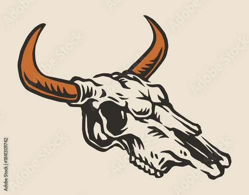 Bull skull with curved horns