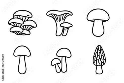 Minimal black outline of various edible and wild forest mushrooms and fungi