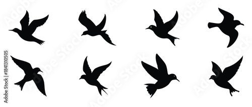 Flying bird silhouettes collection isolated on white background