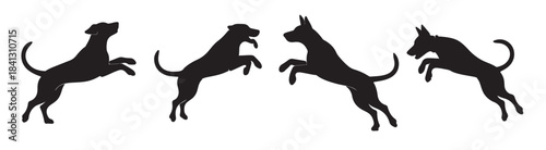 four black dog silhouettes leaping dynamically against white