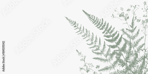 Background with repeating fern pattern, textured with gritty grain overlay, faded distress marks and subtle stains for a soft vintage botanical look.