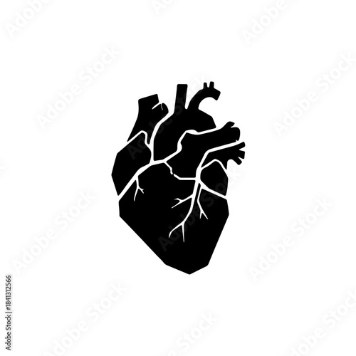 Stylized black and white illustration of a human heart with visible arteries and veins on a clean backdrop isolated on transparent background
