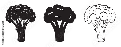 hand drawn broccoli vegetable silhouette set