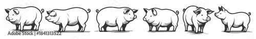hand drawn pig line art collection in various poses