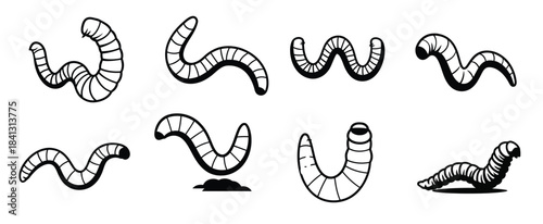 earthworms in various natural poses illustration showing