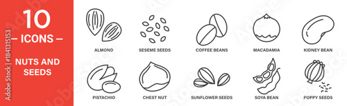 Nuts and seeds icon set. Nuts and seeds vector symbol in black filled and outlined style.