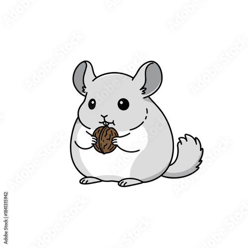 Cute cartoon chinchilla holding and eating a walnut, full-body illustration with big eyes and fluffy tail on white background