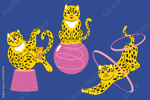 Circus leopard set with gymnastic rings, stands, balls, yellow wild cats on blue and pink