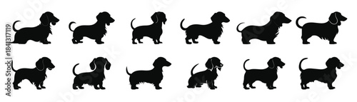 dachshund dog vector black silhouettes set black silhouette