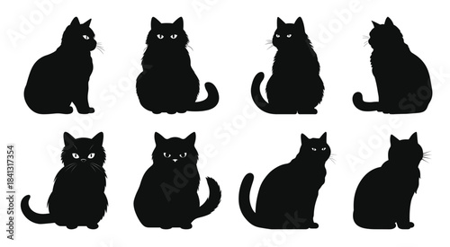 exotic shorthair cat breed silhouettes vector set black 