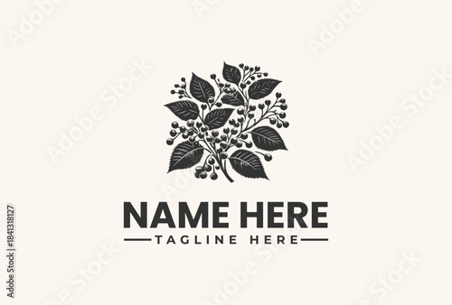 Botanical branch logo vector illustration of leaves and berries for branding