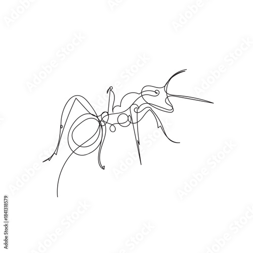 continuous line art drawing of ant animal