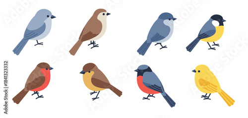 colorful flat style birds collection diverse bird