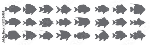 collection of grey fish silhouettes diverse aquatic life