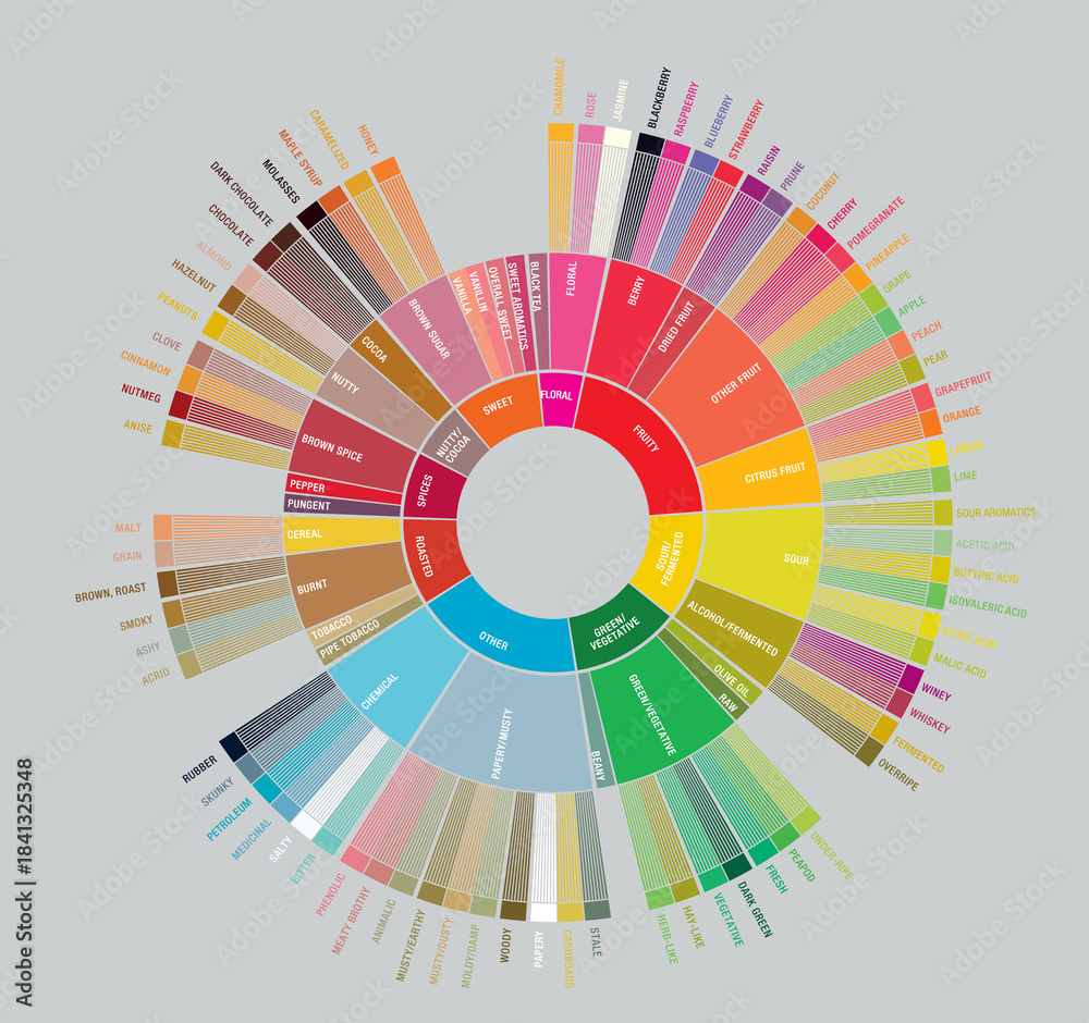 Obraz premium A colorful and detailed SCA Coffee Taster’s Flavor Wheel chart showing the full spectrum of coffee aromas and tasting notes. Perfect for barista training, coffee education, and specialty coffee refere