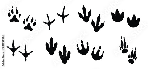dinosaur track vector icon set dinosaur footprints
