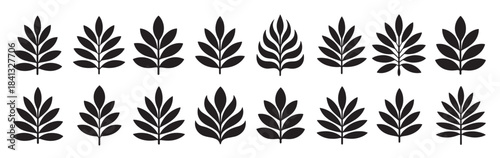 collection of decorative leaf motifs silhouette