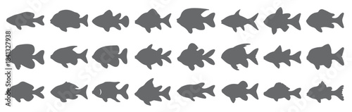 collection of gray fish silhouettes various shapes and sizes