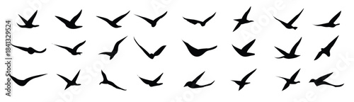 flying bird silhouettes vector