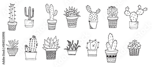 Cacti and succulents doodles illustration. Home plants in pots and cups.
