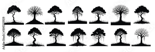 Collection of black silhouette trees with hanging vines and grass