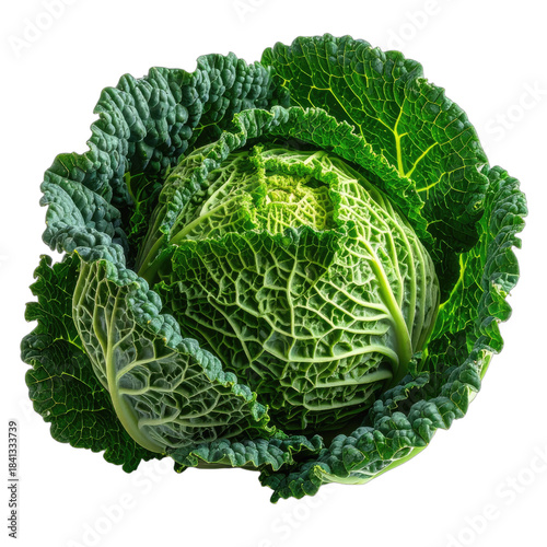 A close-up, highly detailed image of a fresh Savoy cabbage isolated on a black background.