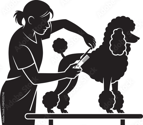 Professional woman groomer cutting and styling standard poodle show dog coat silhouette vector illustration artwork