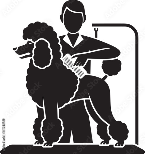 Professional pet groomer brushing large standard poodle dog on elevated table silhouette icon vector illustration graphic design