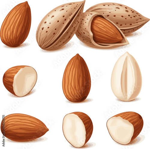 Create a kinds of deferent realistic Whole and halved almonds vector art with white background.