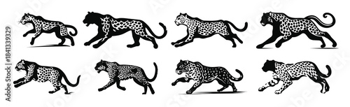 cheetah vector silhouette black and white set running