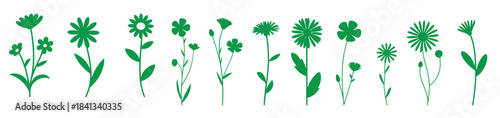 collection of green wildflower silhouettes